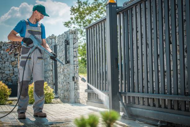 Best Graffiti Removal  in Lealman, FL