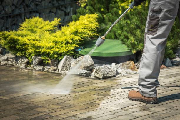 Best Sidewalk and Walkway Cleaning  in Lealman, FL