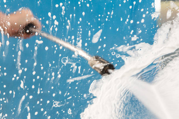 Best Animal Enclosure Cleaning  in Lealman, FL