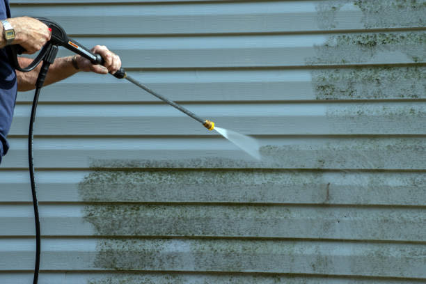 Best Pool Deck Cleaning  in Lealman, FL